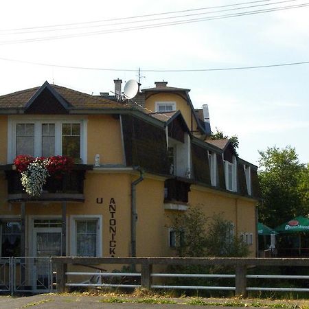 Penzion U Antonickova Pramene Mariánské Lázně Εξωτερικό φωτογραφία