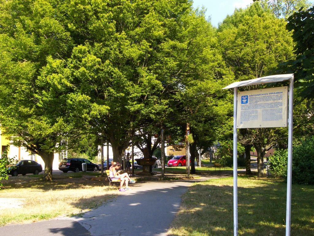 Penzion U Antonickova Pramene Mariánské Lázně Εξωτερικό φωτογραφία